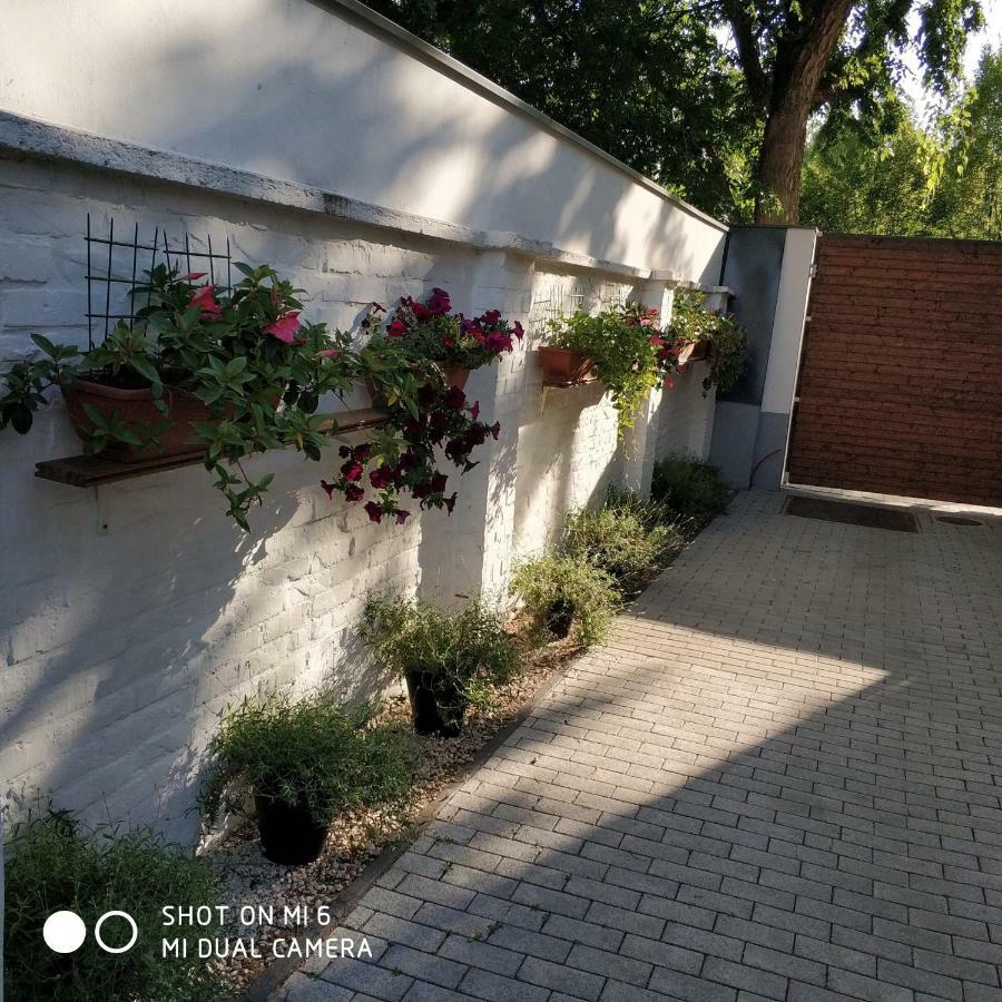 Belvarosi Apartmanszallo - Kiskunfélegyháza Εξωτερικό φωτογραφία